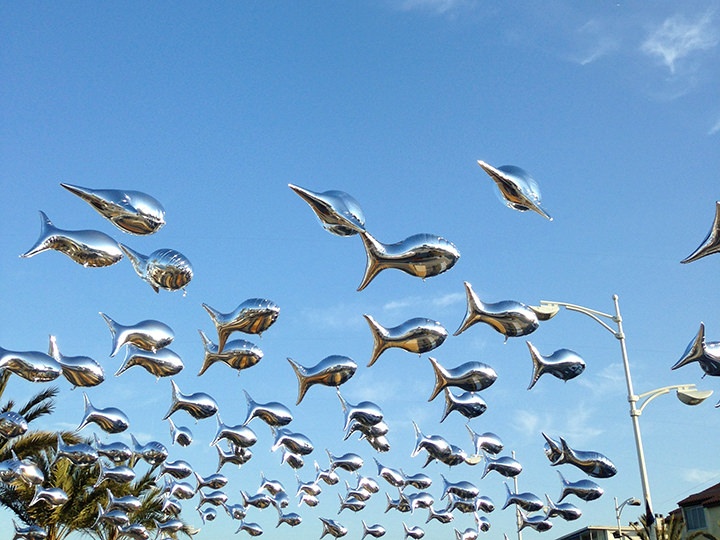 aerosculpture_sardines_grau-du-roi_IMG_0220