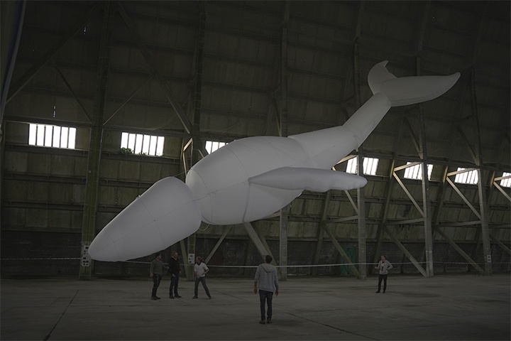 aerosculpture-baleine-DSC00111