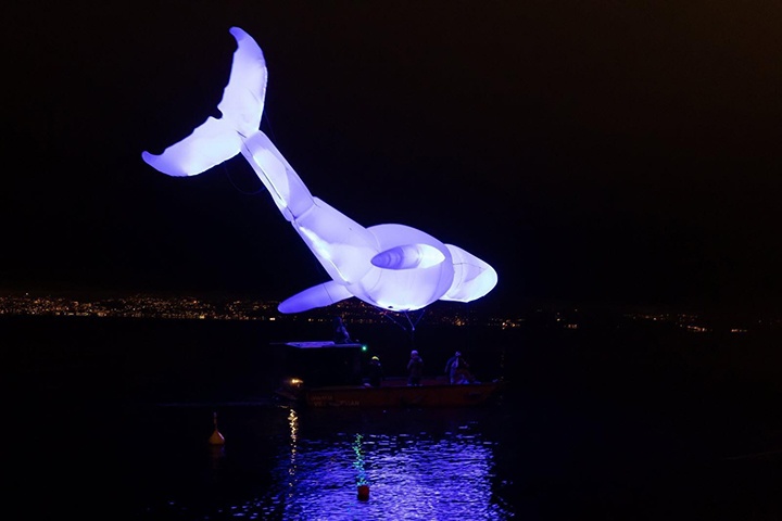 aerosculpture-baleine-IMG_0257