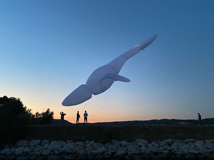 aerosculpture-baleine-IMG_9166